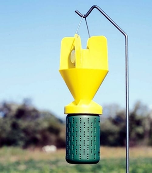 Japanese beetle trap Japanese beetle trap