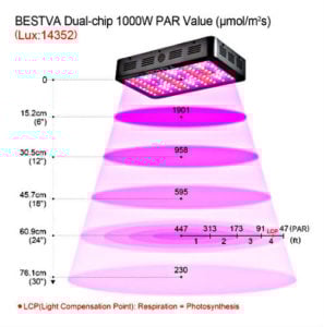 LED watts - distribution of light LED watts - distribution of light