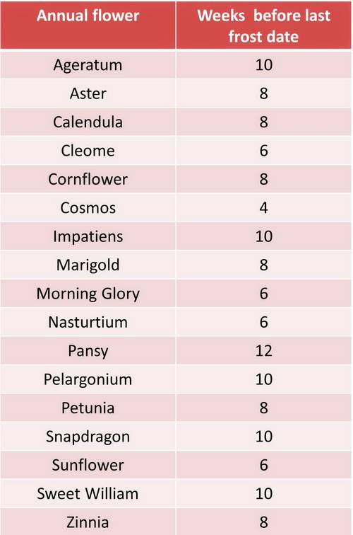 When To Start Seeds Indoors Includes a Chart Garden Myths