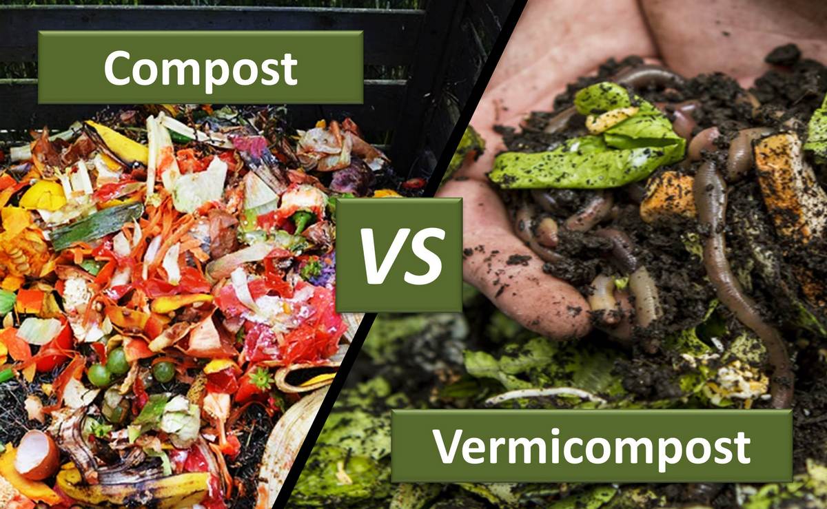 Difference between composting and vermicomposting split screen, left shows compost pile, right is a hand holding worms