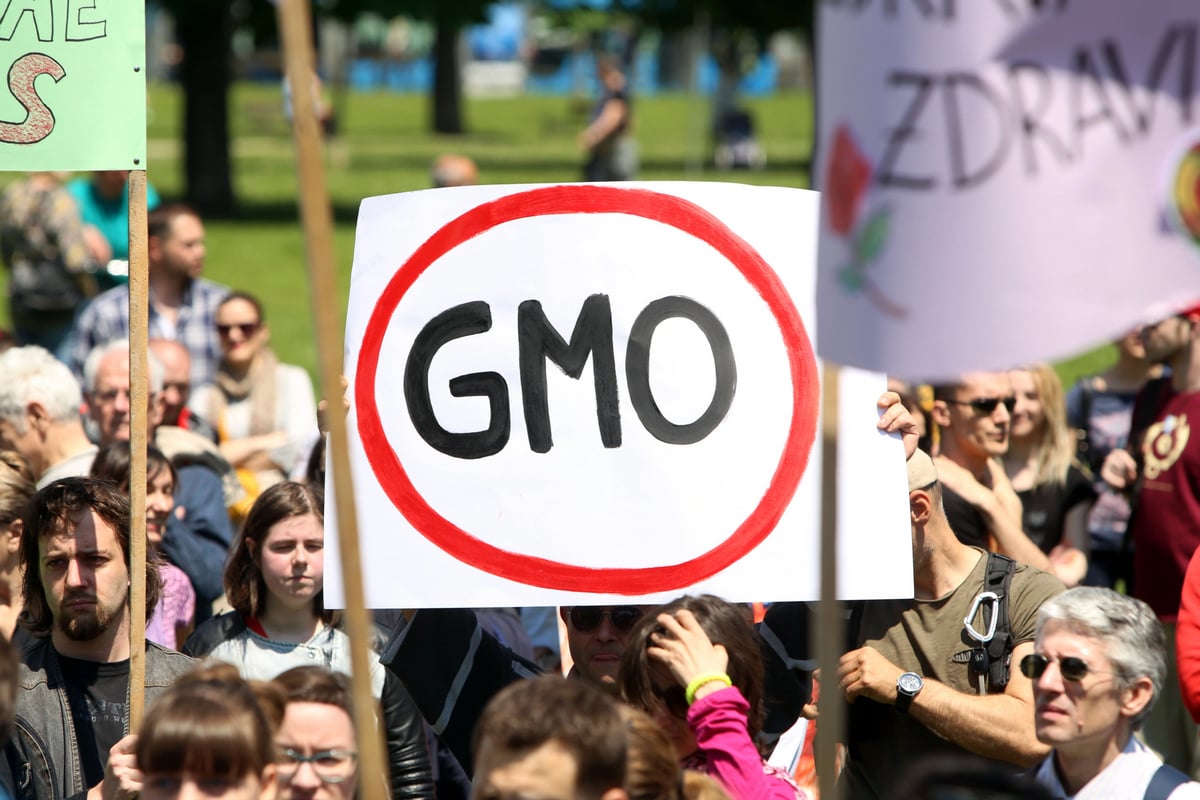 GMO Food Labeling In The US Is Now Mandatory